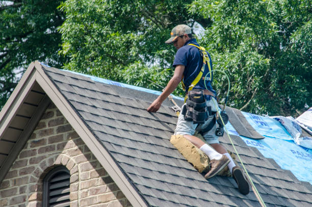 Best Gutter Installation and Roofing  in Columbiana, OH
